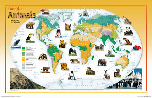 World map (World of Animals) from National Geographic.