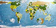 Carte du monde dans les teintes Kaki Jaune Sauge Or de Future Mapping Co..